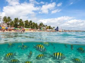 Porto de Galinhas