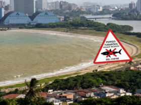 Vista panorâmica da Praia de Del Chifre, local onde ocorreu o ataque de tubarão em Olinda.