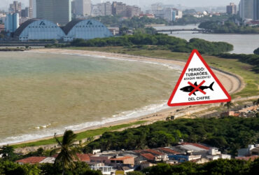 Vista panorâmica da Praia de Del Chifre, local onde ocorreu o ataque de tubarão em Olinda.