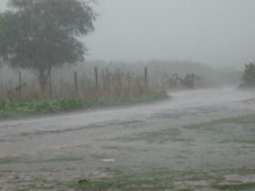Chuva forte atingindo o município de Granito, evidenciando as chuvas no Sertão de Pernambuco