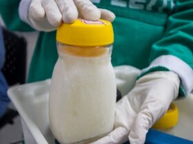 Estoque de leite materno em frascos de vidro no Banco de Leite do Hospital Agamenon Magalhães HAM