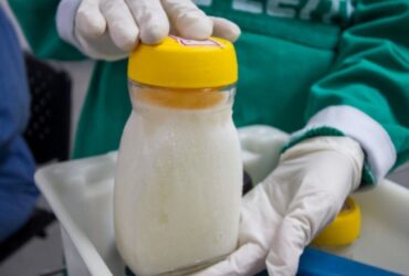 Estoque de leite materno em frascos de vidro no Banco de Leite do Hospital Agamenon Magalhães HAM