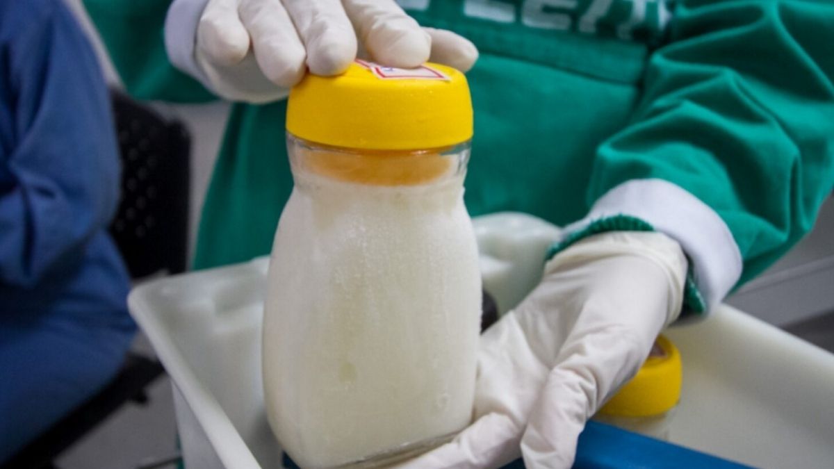Estoque de leite materno em frascos de vidro no Banco de Leite do Hospital Agamenon Magalhães HAM